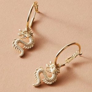 🐉Dragon Hooped Earrings